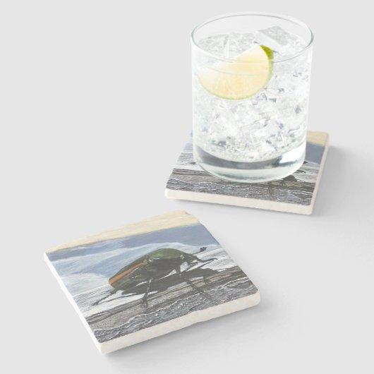 Beetel op een Onderzetter van de Pier Stone (Zijkant)