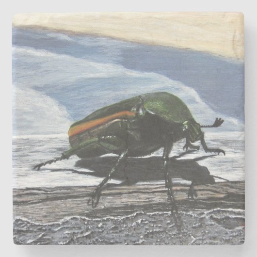 Beetel op een Onderzetter van de Pier Stone (Voorkant)