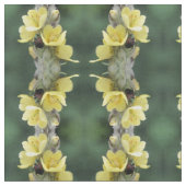 Beetel op wilde Mullein-bloem Stof (Close Up)
