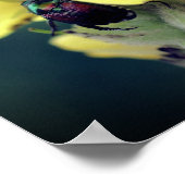 Beetel op wilde mulleinevloer dicht poster (Hoek)