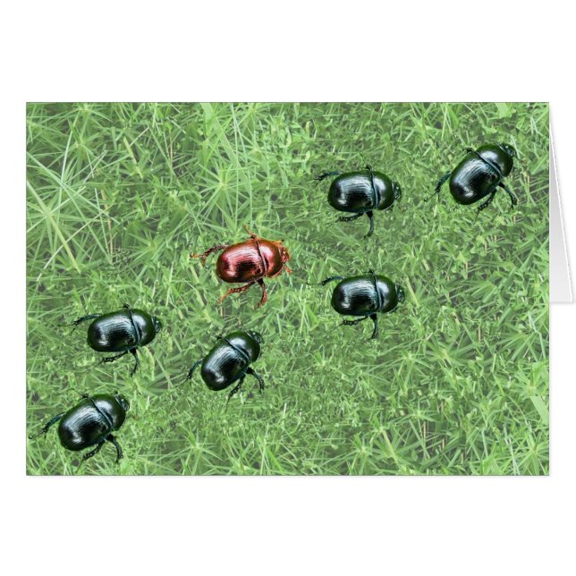 Beetelontwerp (Voorkant Horizontaal)