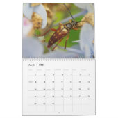 Beetels! Agenda Kalender (Mar 2026)