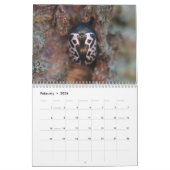 Beetels! Agenda Kalender (Feb 2026)