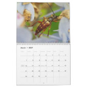 Beetels! Agenda Kalender (Mar 2027)