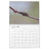 Beetels! Agenda Kalender (Jan 2027)