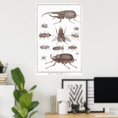 Beetels - Bord LXXV Histoire Naturelle Diderot Poster (Thuiskantoor)