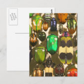 Beetels, bugs en insecten briefkaart (Voorkant / Achterkant)