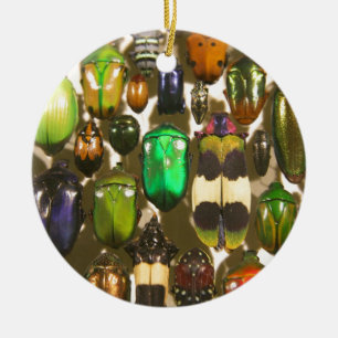 Beetels, bugs en insecten keramisch ornament