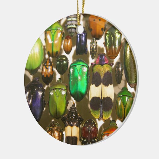 Beetels, bugs en insecten keramisch ornament (Links)