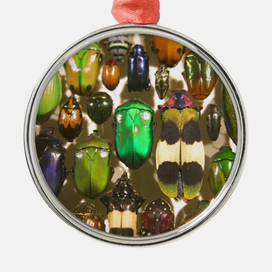 Beetels, bugs en insecten metalen ornament (Voorkant)