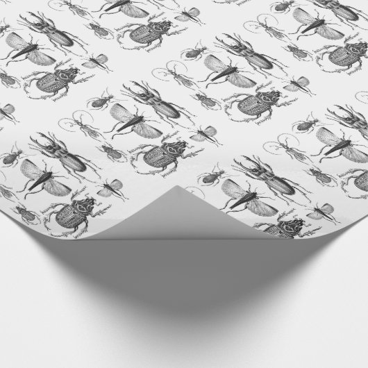 Beetels en buikbogen cadeaupapier (Hoek)