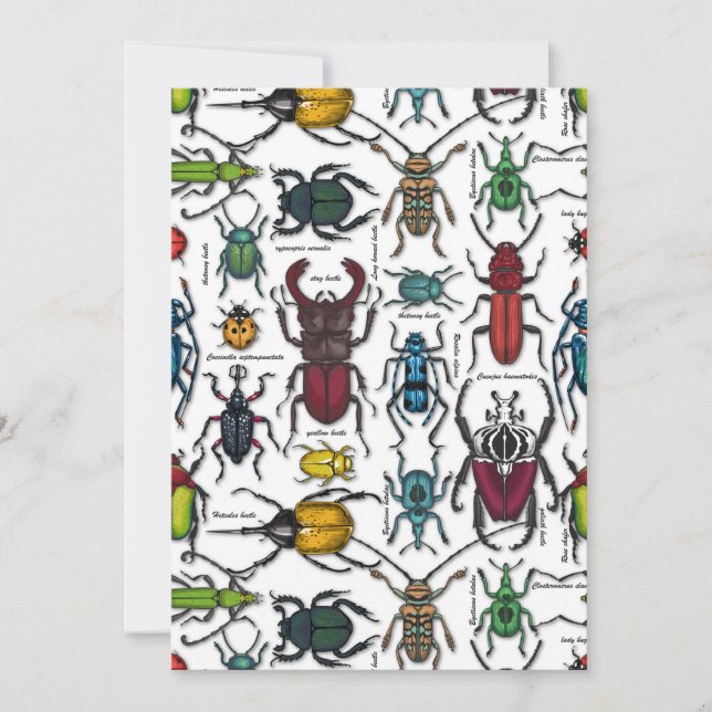 Beetels op wit (Voorkant)