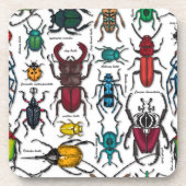 Beetels op wit bier onderzetter (Voorkant)