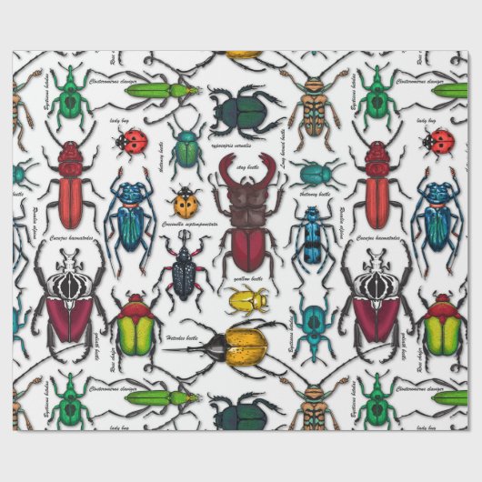 Beetels op wit cadeaupapier (Vlak)