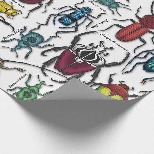 Beetels op wit cadeaupapier (Hoek)