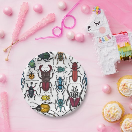 Beetels op wit papieren bordje (Feest)