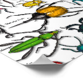 Beetels op wit poster (Hoek)