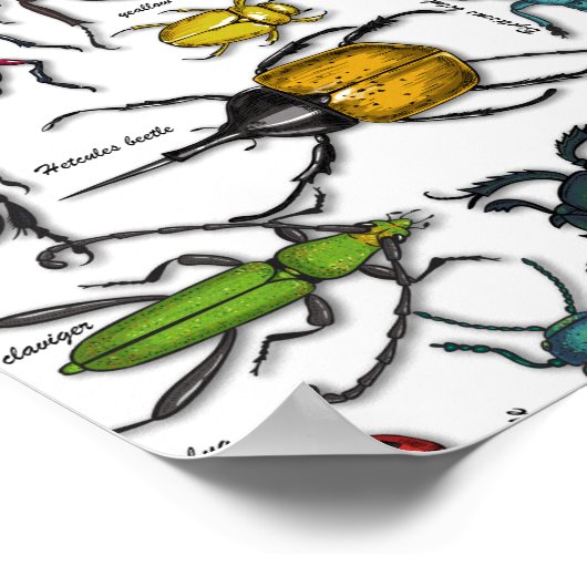 Beetels op wit poster (Hoek)