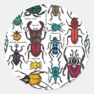 Beetels op wit ronde sticker