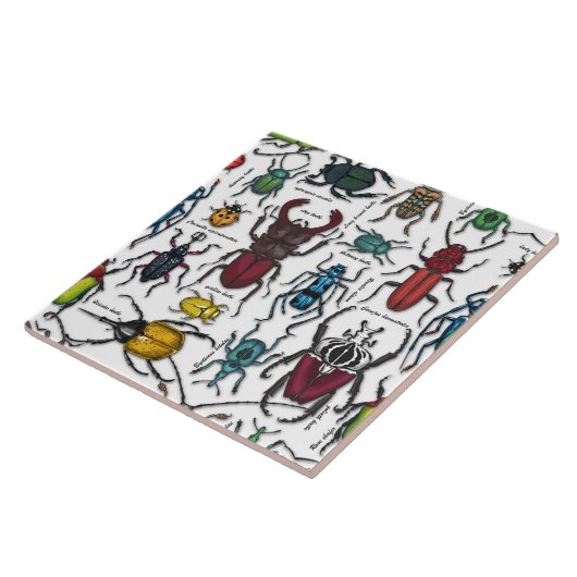 Beetels op wit tegeltje (Zijkant)