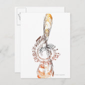 Beethoven Briefkaart (Voorkant / Achterkant)