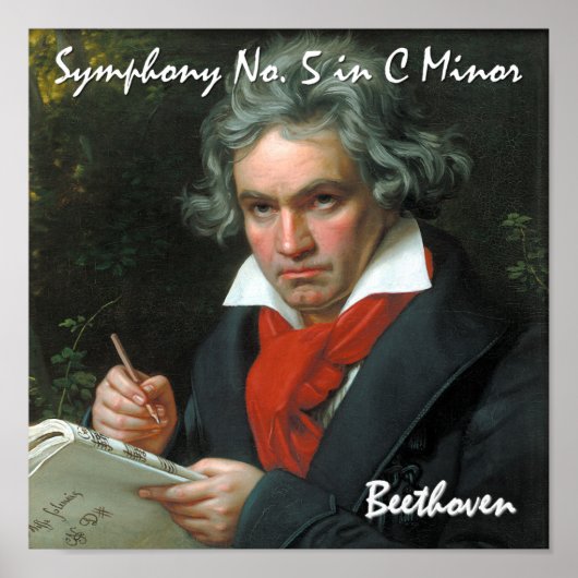 Beethoven Canvas Print (Voorkant)