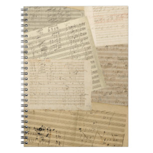 Beethoven Manuscript Medley Spiral Notebook Notitieboek