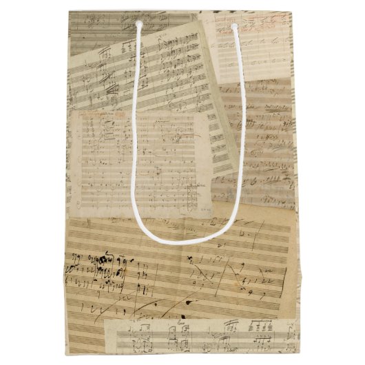 Beethoven Music Manuscript Medley Medium Cadeauzakje (Achterkant)