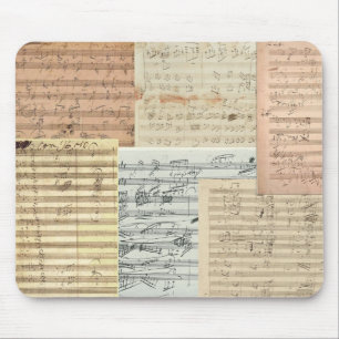 Beethoven Music Manuscripts Muismat