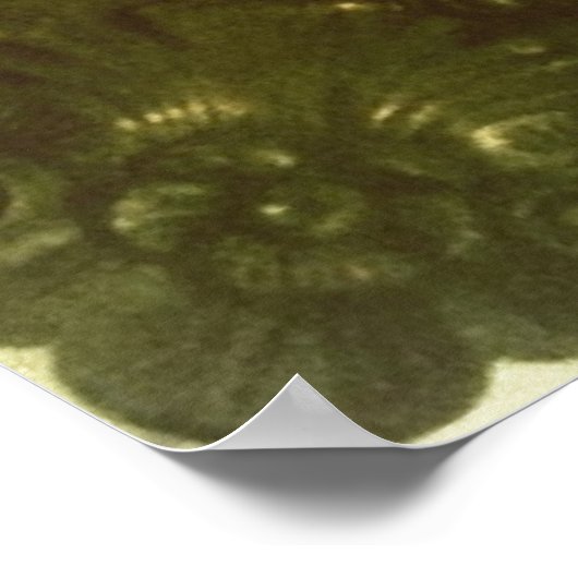 Beethoven omwoeld poster (Hoek)