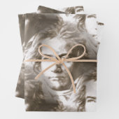 Beethoven Portrait Pattern Inpakpapier Vel (In situ)