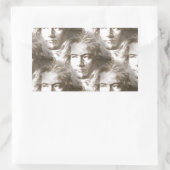 Beethoven Portrait Pattern Rechthoekige Sticker (Tas)