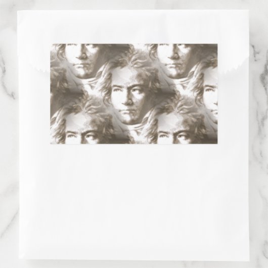 Beethoven Portrait Pattern Rechthoekige Sticker (Tas)