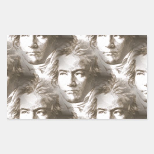 Beethoven Portrait Pattern Rechthoekige Sticker (Voorkant)