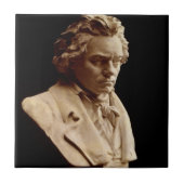 Beethovenbasue Tegeltje (Voorkant)