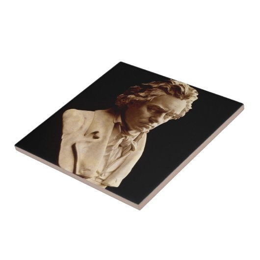 Beethovenbasue Tegeltje (Zijkant)