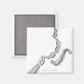 Beethovens Violin Concerto Magneet (Voorkant / Achterkant)