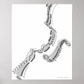 Beethovens Violin Concerto Poster (Voorkant)