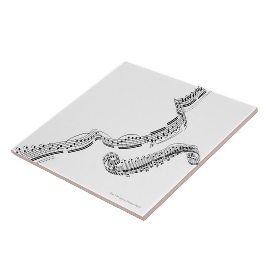 Beethovens Violin Concerto Tegeltje (Zijkant)