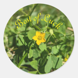 Beetje geluk bloem ronde sticker
