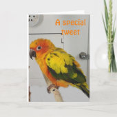 "BEETJE" JE EEN ZEER EENVOUDIGE HOLIDAAGKAART FEESTDAGEN KAART (Voorkant)