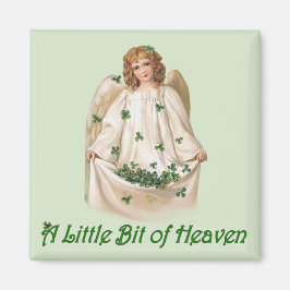 Beetje van de hemel magneet