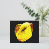 Beetle amber incluber briefkaart (Staand voorkant)