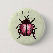 Beetle Art Entomology Cute Pink Insect