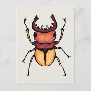 Beetle Art Entomology Insect Briefkaart
