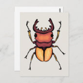Beetle Art Entomology Insect Briefkaart (Voorkant / Achterkant)