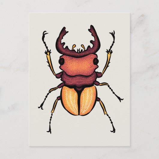 Beetle Art Entomology Insect Briefkaart (Voorkant)