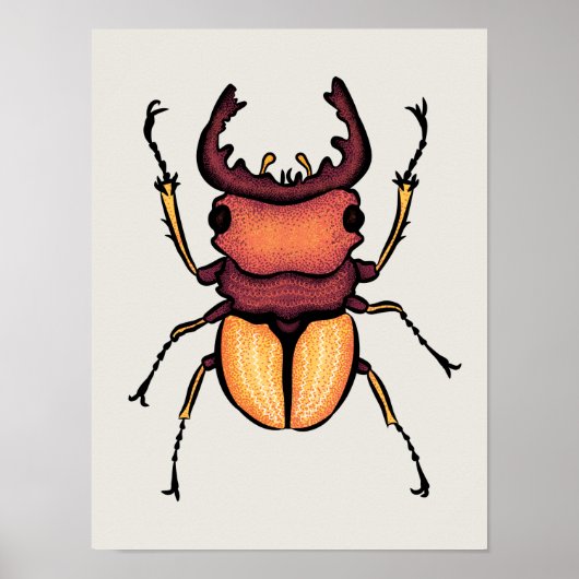 Beetle Art Entomology Insect Poster (Voorkant)