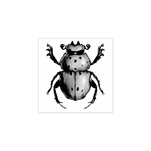 Beetle Art Entomology Insect Rubber Stamp Rubberstempel (Afrduk)