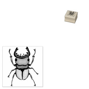 Beetle Art Entomology Insect Rubberstempel